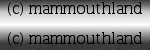 bouton-noir-2.png