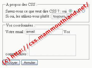 Capture d'écran d'un formulaire de base