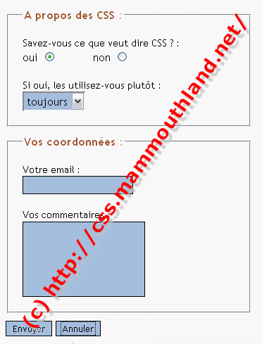 Capture d'écran d'un formulaire CSS